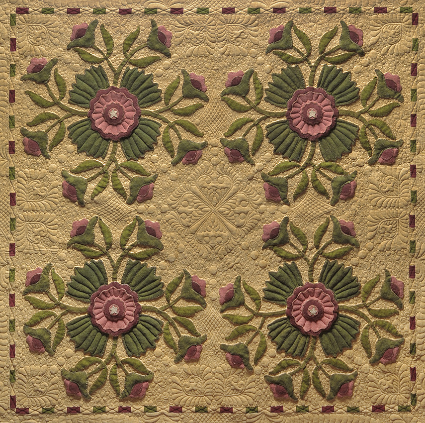 Portland Rose